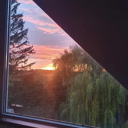 Haus Mueritz, 14 Roter Milan * Zielow